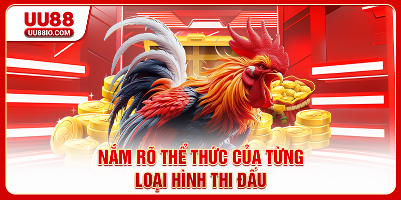 Nắm rõ thể thức của từng loại hình thi đấu